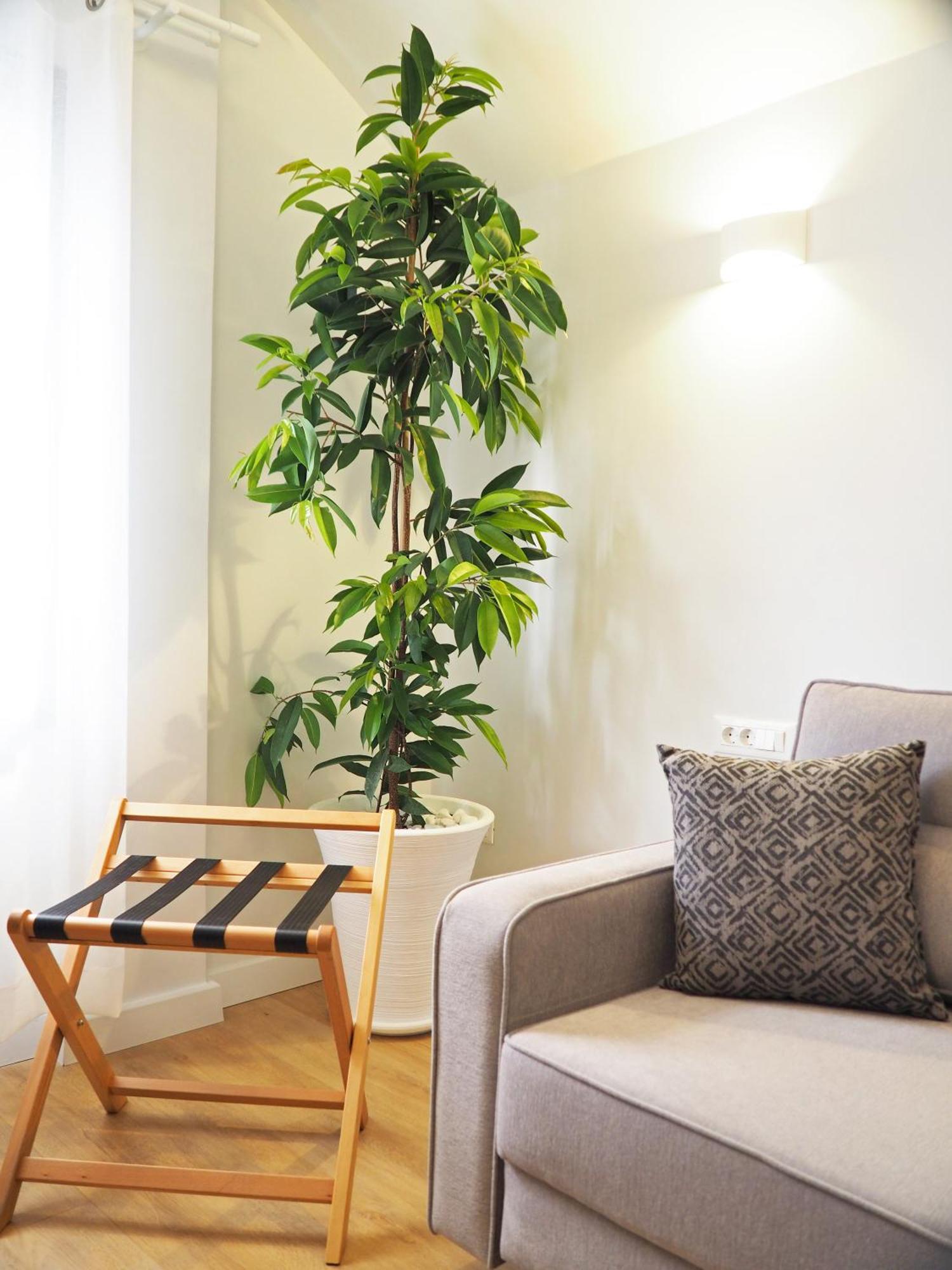 Times Elegant Rooms แอร์มูโปลี ภายนอก รูปภาพ